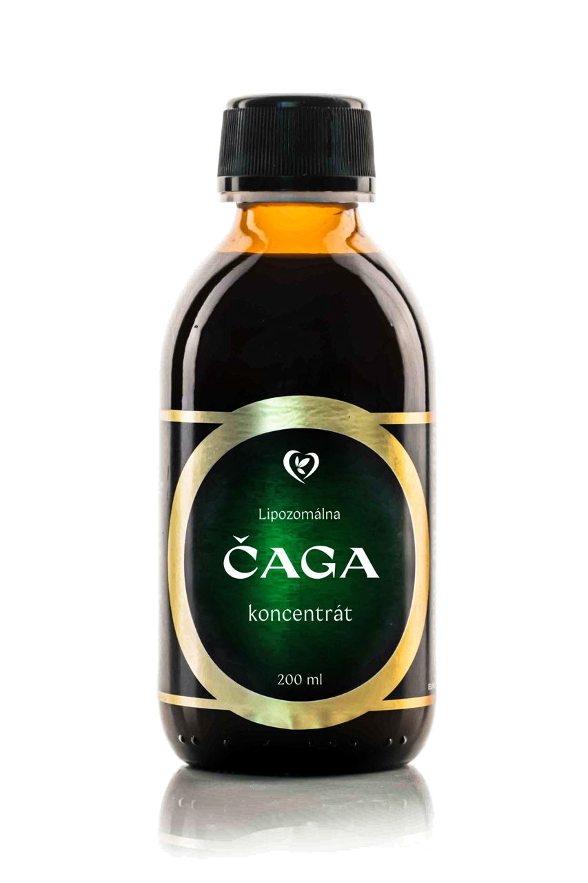 Čaga koncentrát lipozomálny