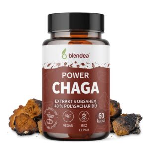 Chaga extrakt 60 kapsúl